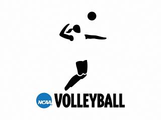 Women's Volleyball Selected Seventh in 2012 NECC Preseason Poll