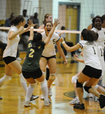 Women's Volleyball Earns NEWVA Academic Award