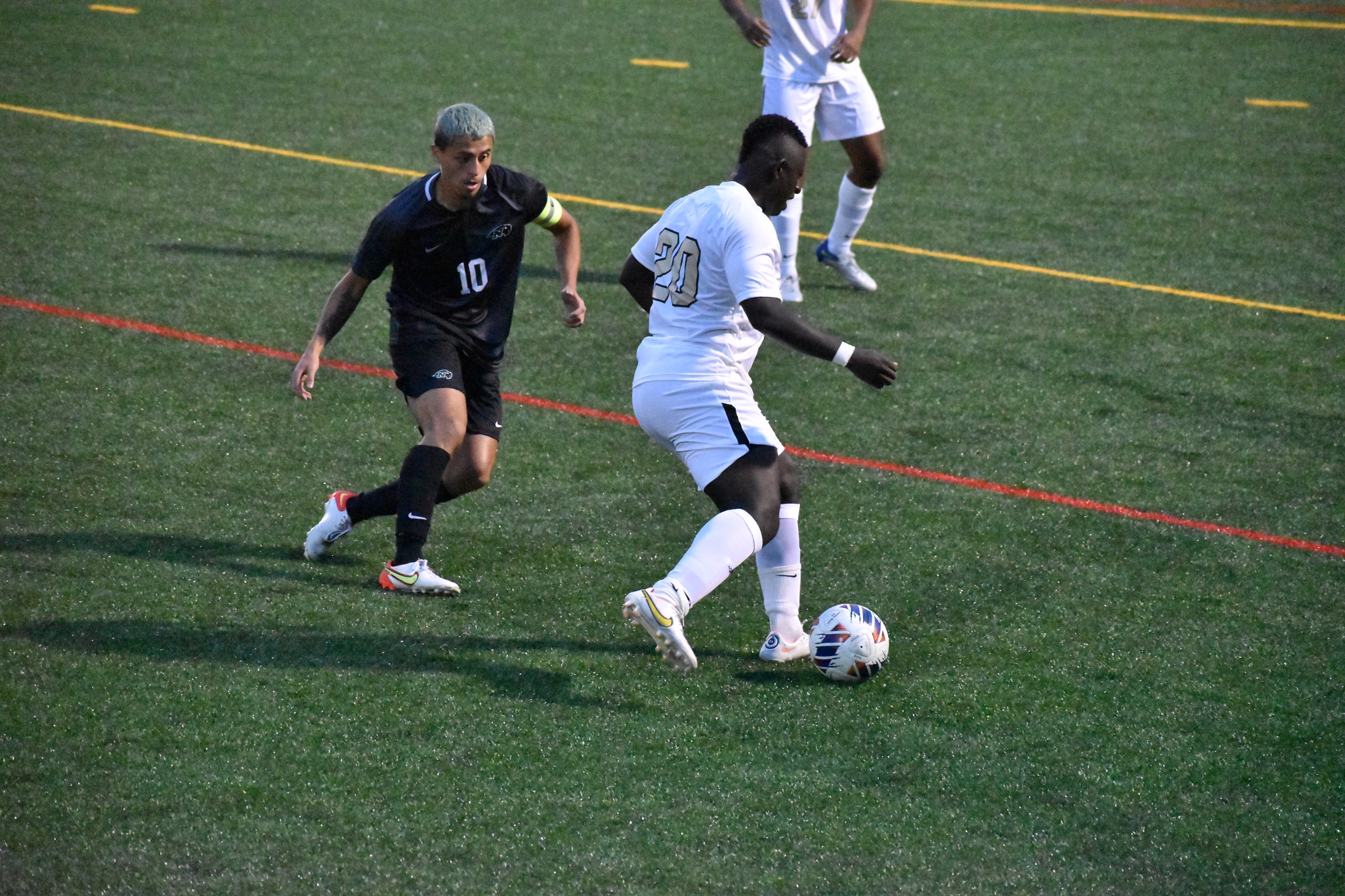 Blazers Fall to Bison