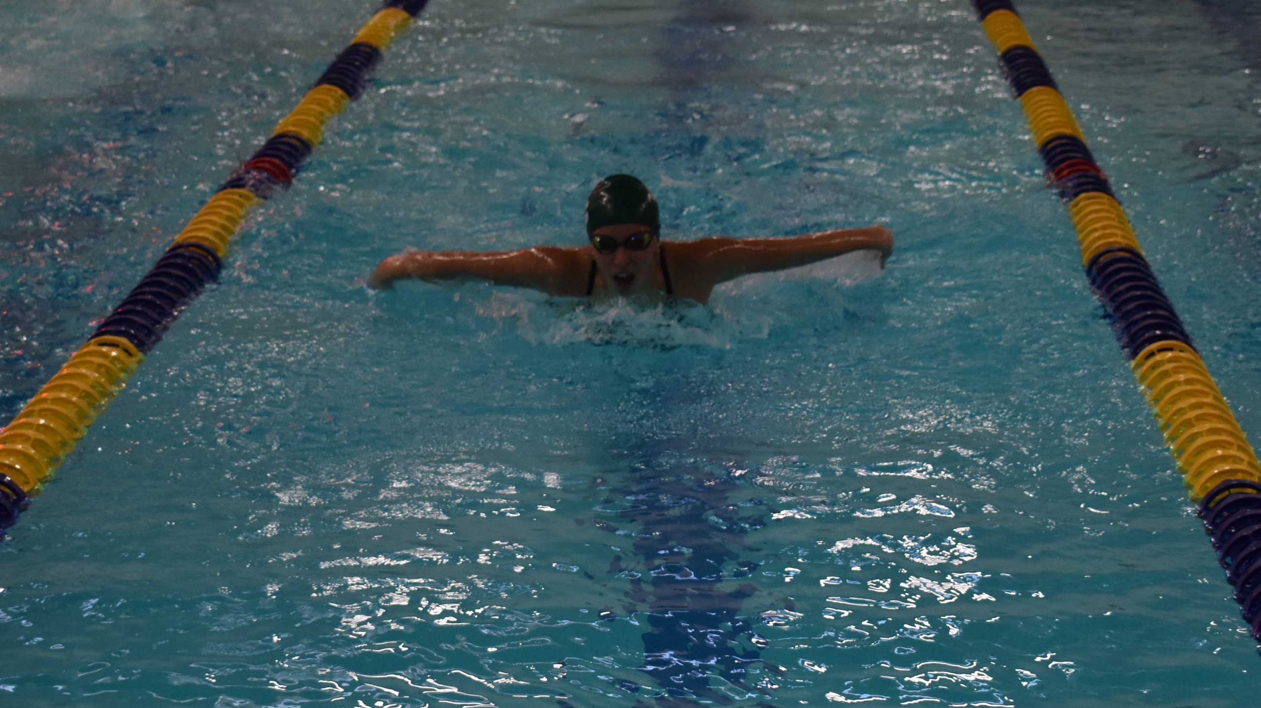 Men&rsquo;s & Women&rsquo;s Swim Defeat Albertus Magnus in Conference Opener