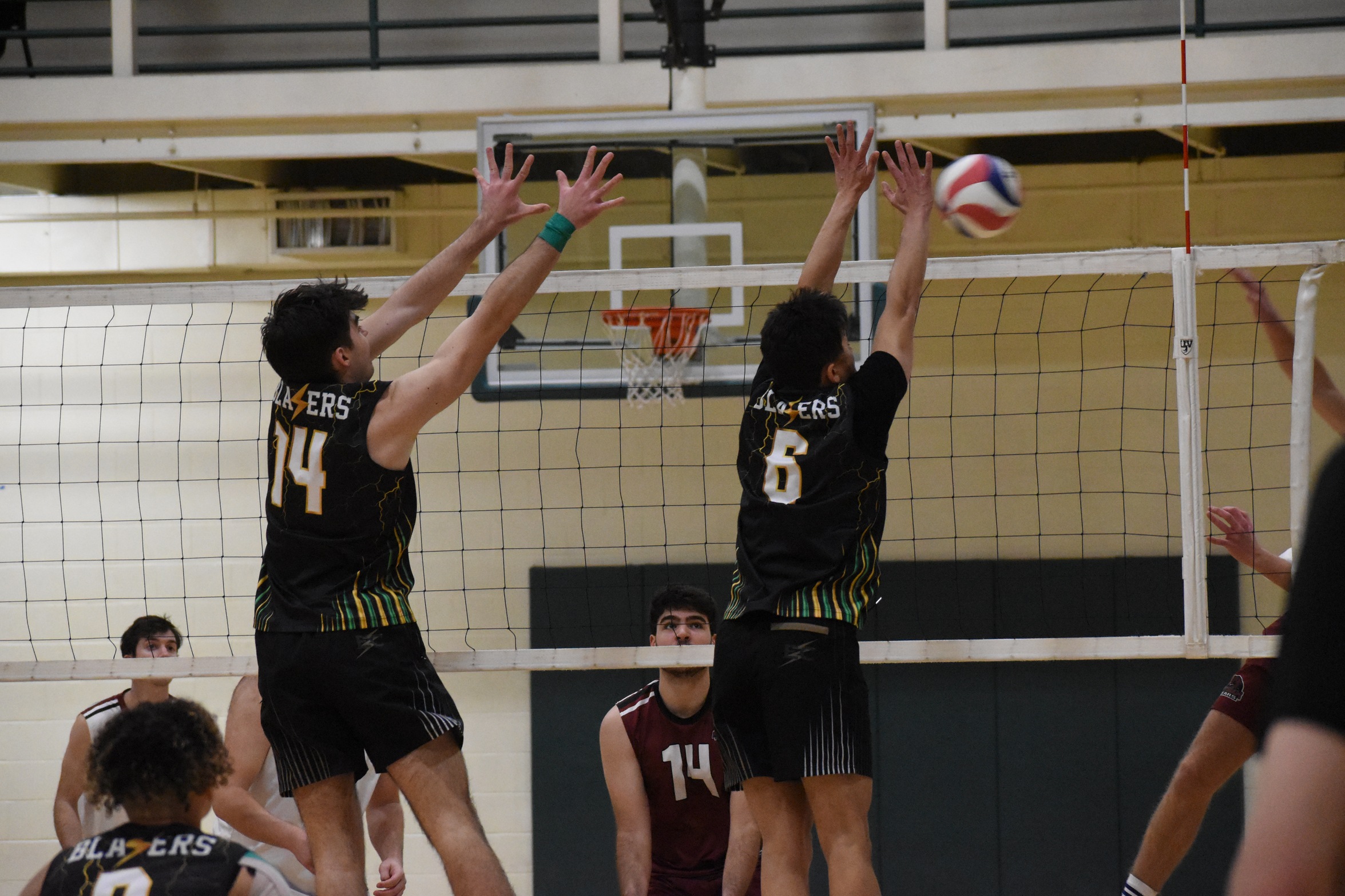 Bears Takedown Blazers In Three