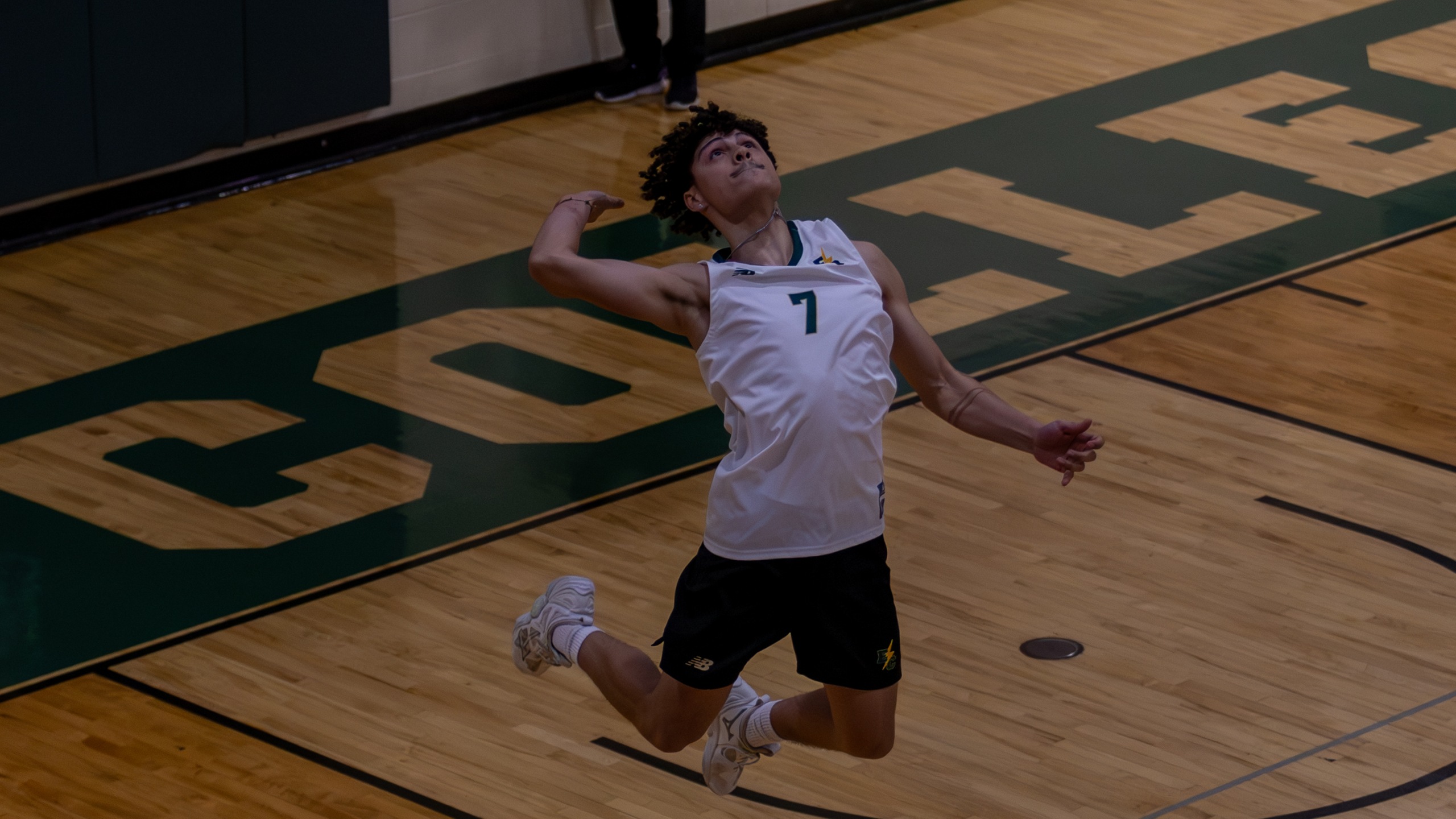Men&rsquo;s Volleyball Sweeps Emerson for a Conference Win