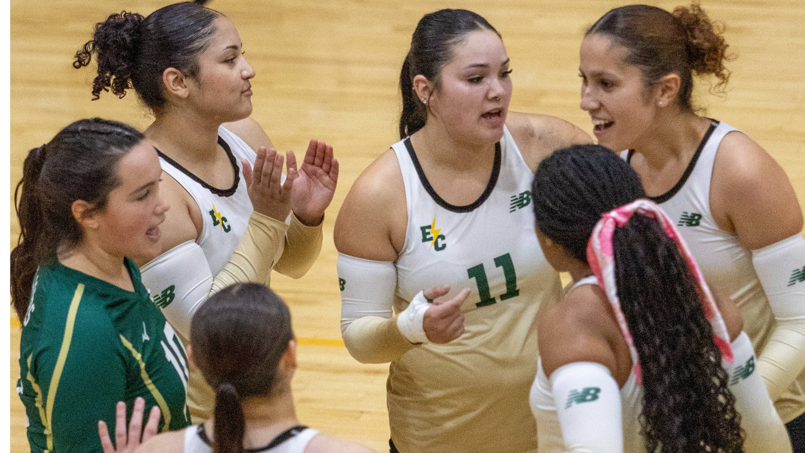 Women's Volleyball Swept at Rivier