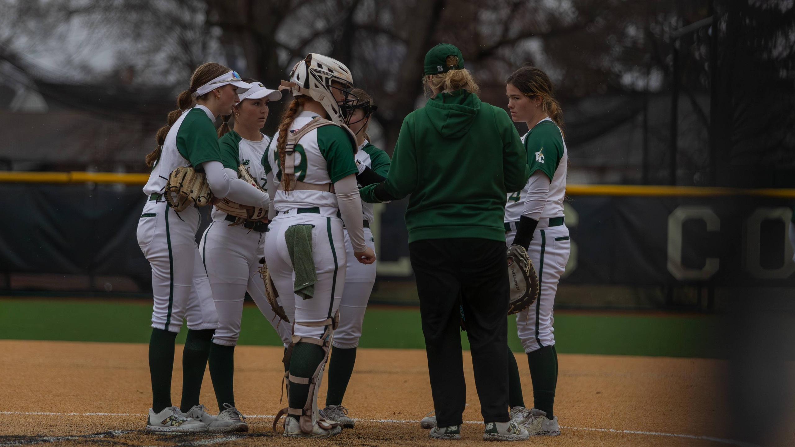 Softball Loses on the Road at New England College