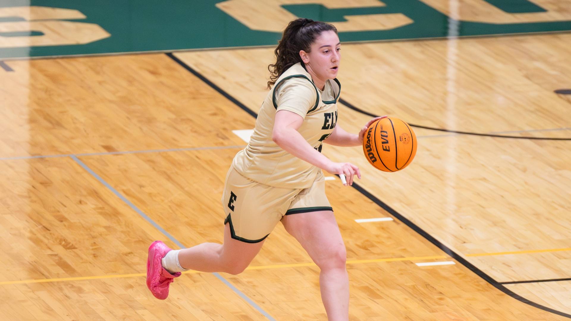 Women's Basketball Falls to Westfield State