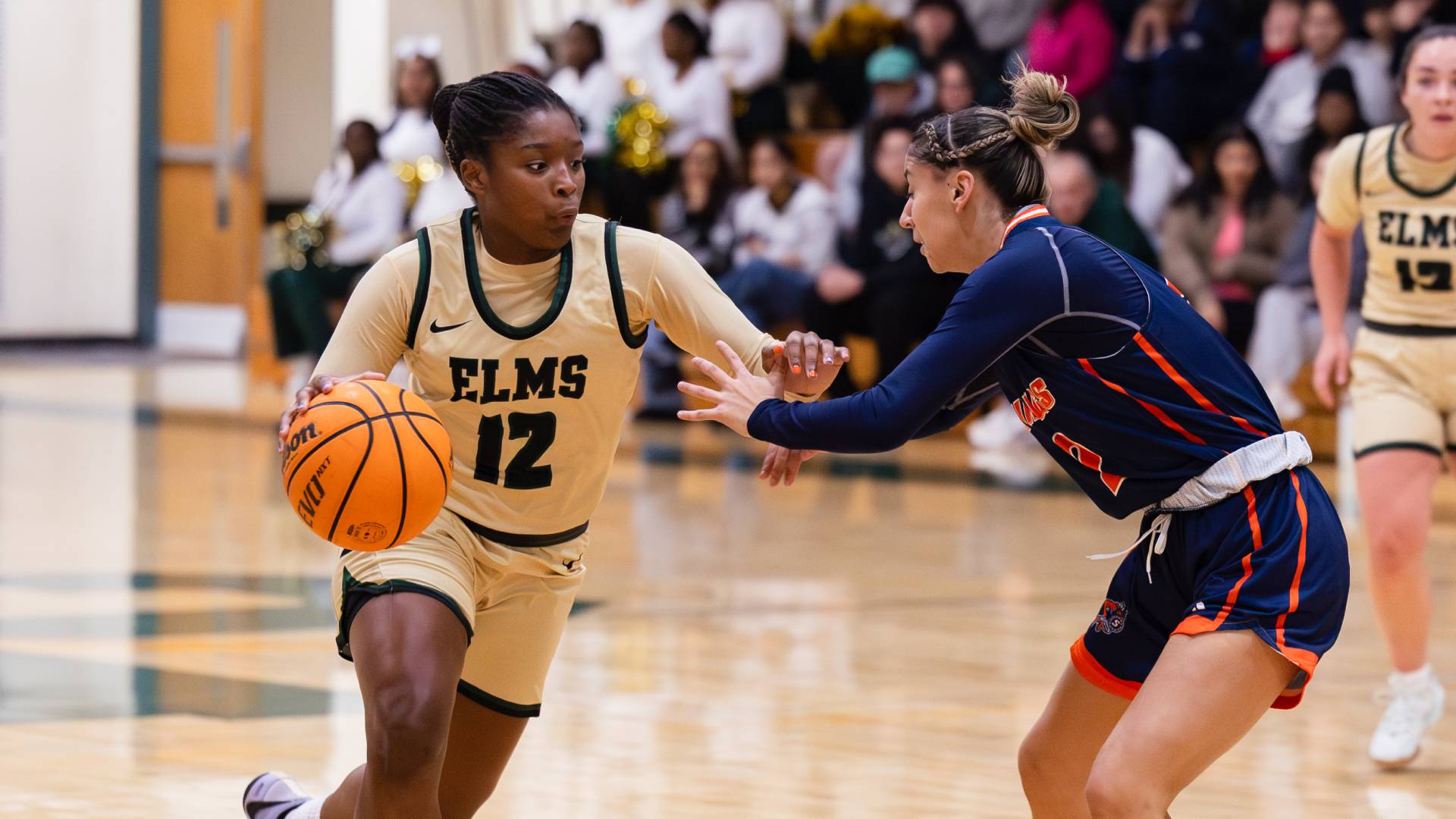 Women's Basketball Lose to Wellesley in Home Return