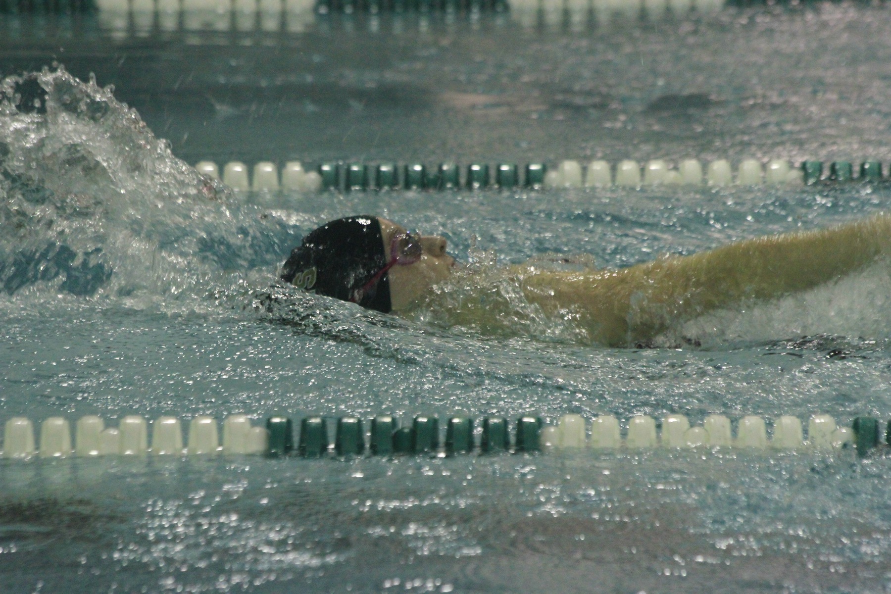 Western New England Edges Women's Swimming