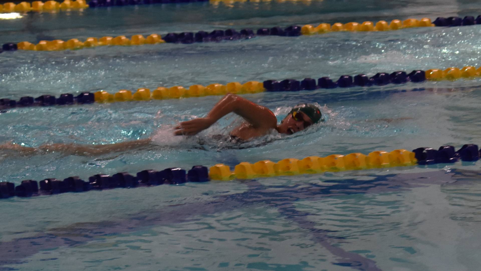 Swimming Completes Regular Season at Western New England and Begins Their Preparation for GNACs