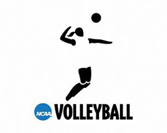 Women&rsquo;s Volleyball Picked Seventh in 2013 NECC Preseason Poll