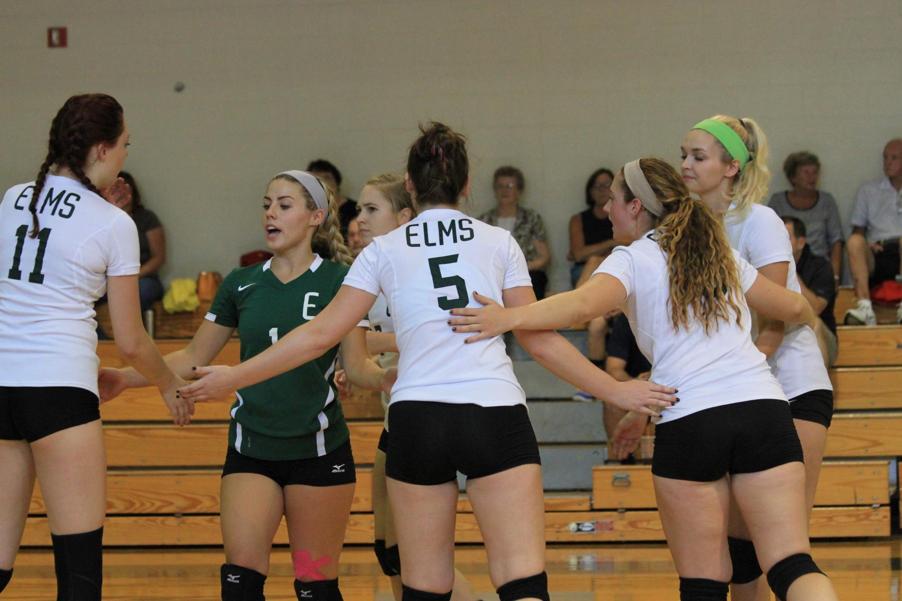 Women's Volleyball Falls at Nichols in Three Sets