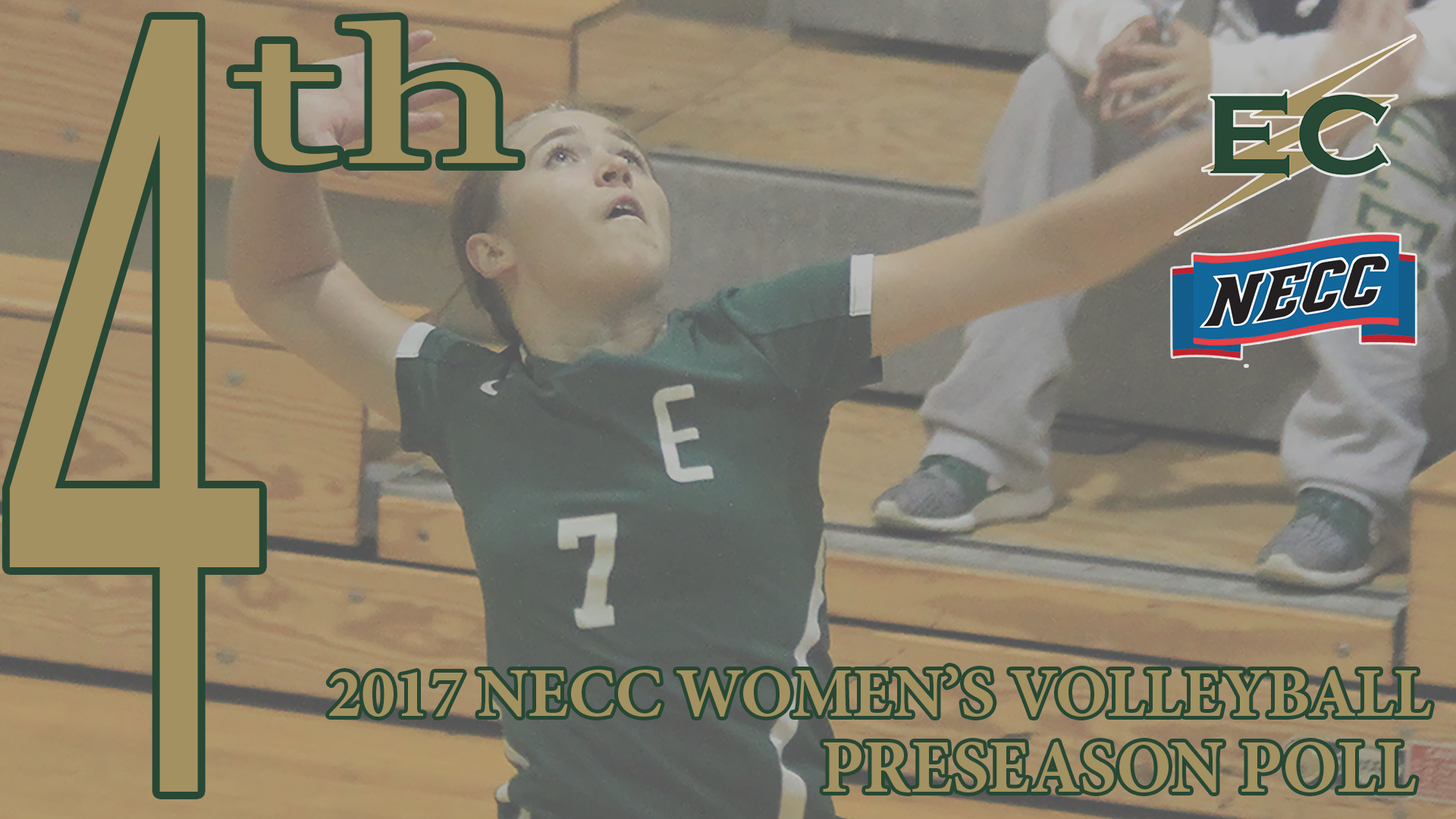 Women's Volleyball Voted Fourth In NECC Preseason Poll