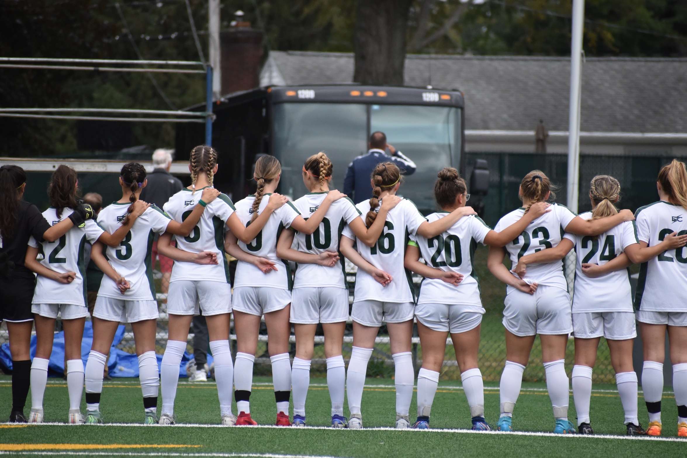 Elms Edged By Pride