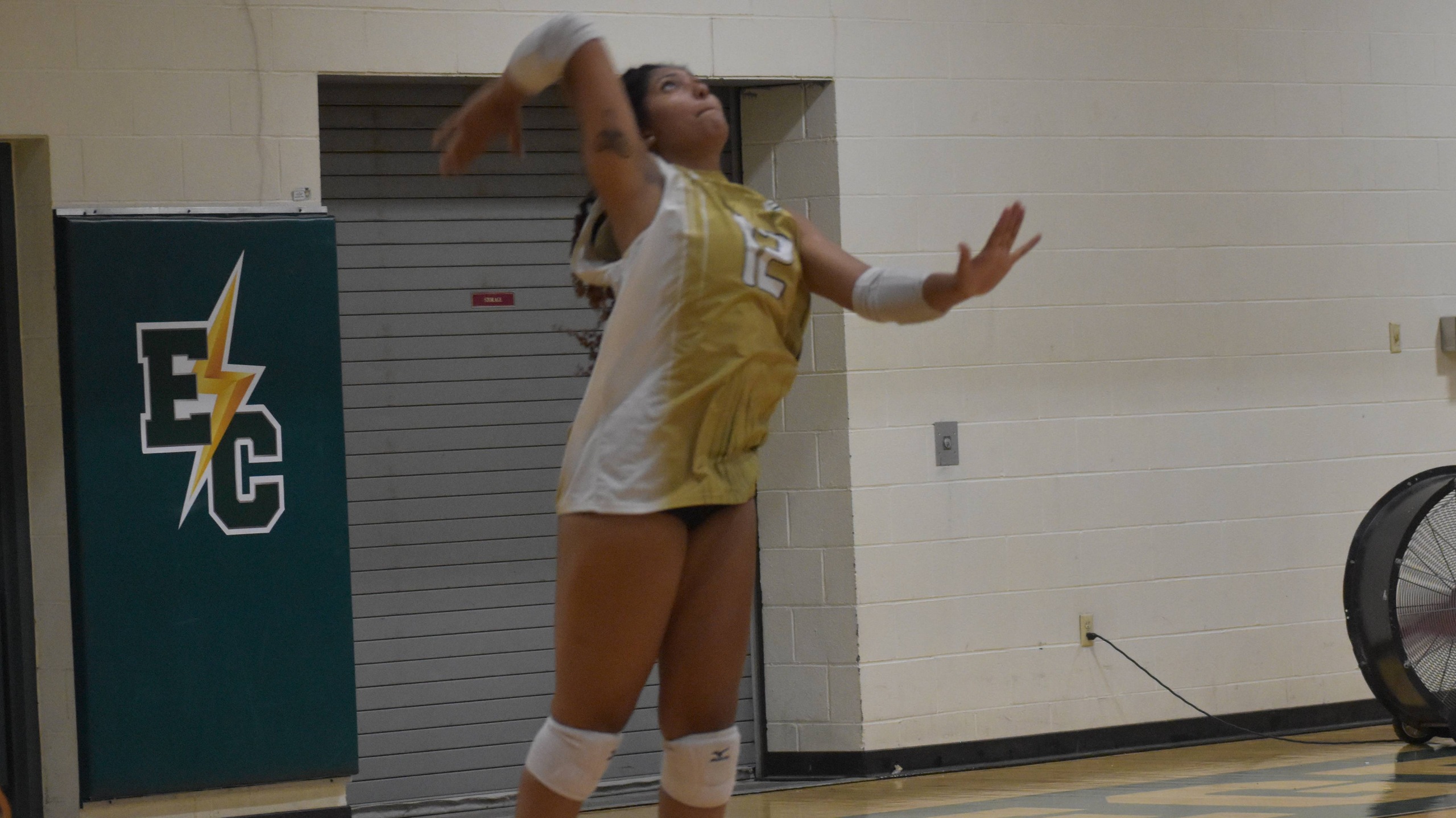 Women's Volleyball Unvictorious in Home Opener Against Eastern Connecticut