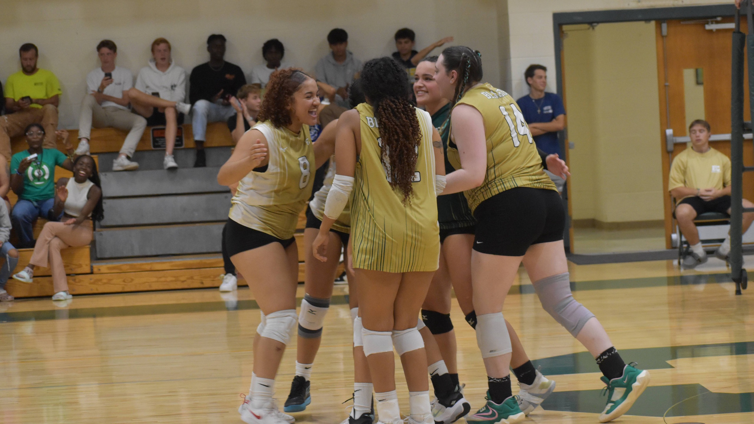 Women&rsquo;s Volleyball Lose Conference Openers to Regis and New England