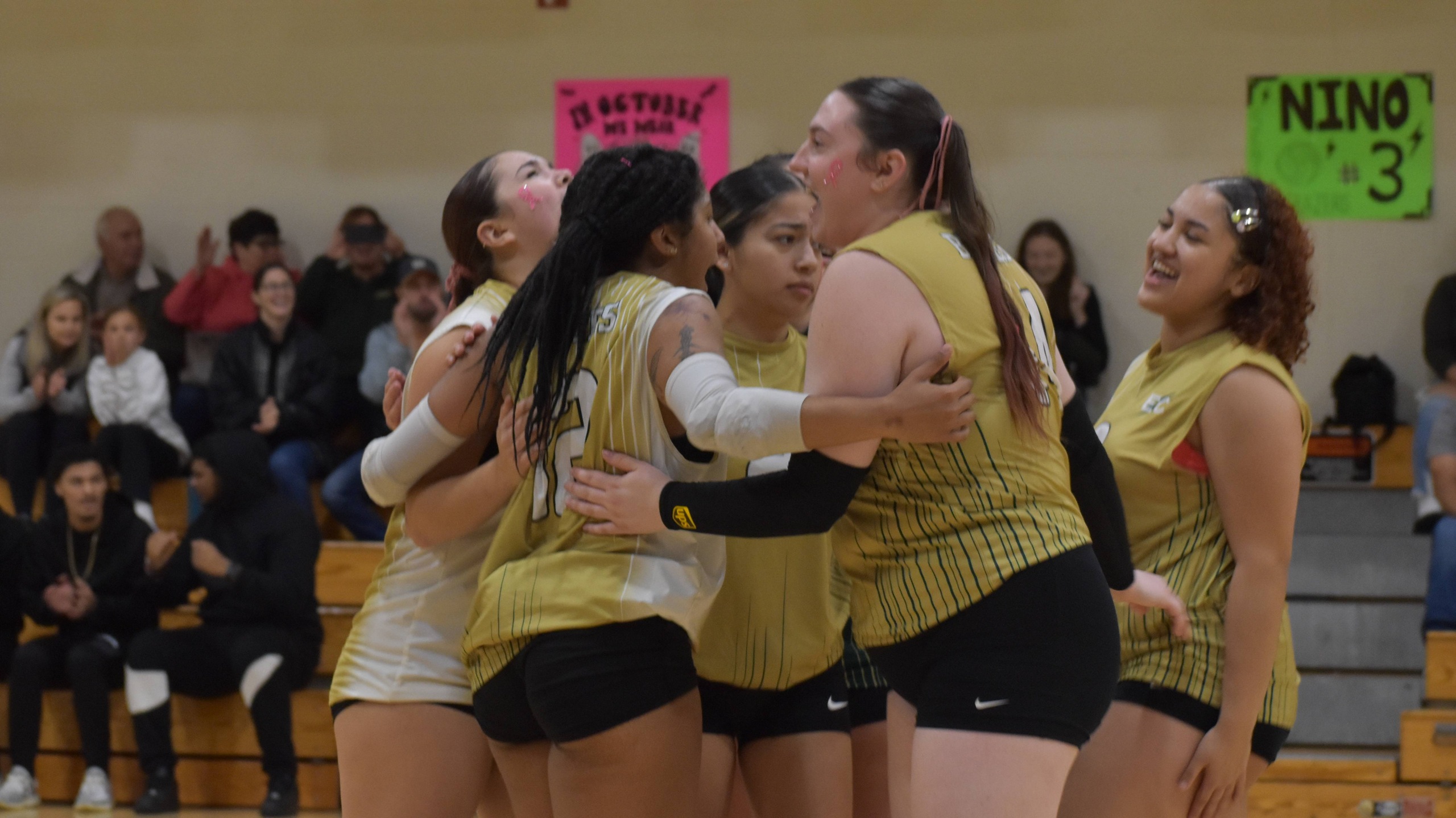 Women's Volleyball Bring the Fight to Framingham, But Get Swept in Tri-Match
