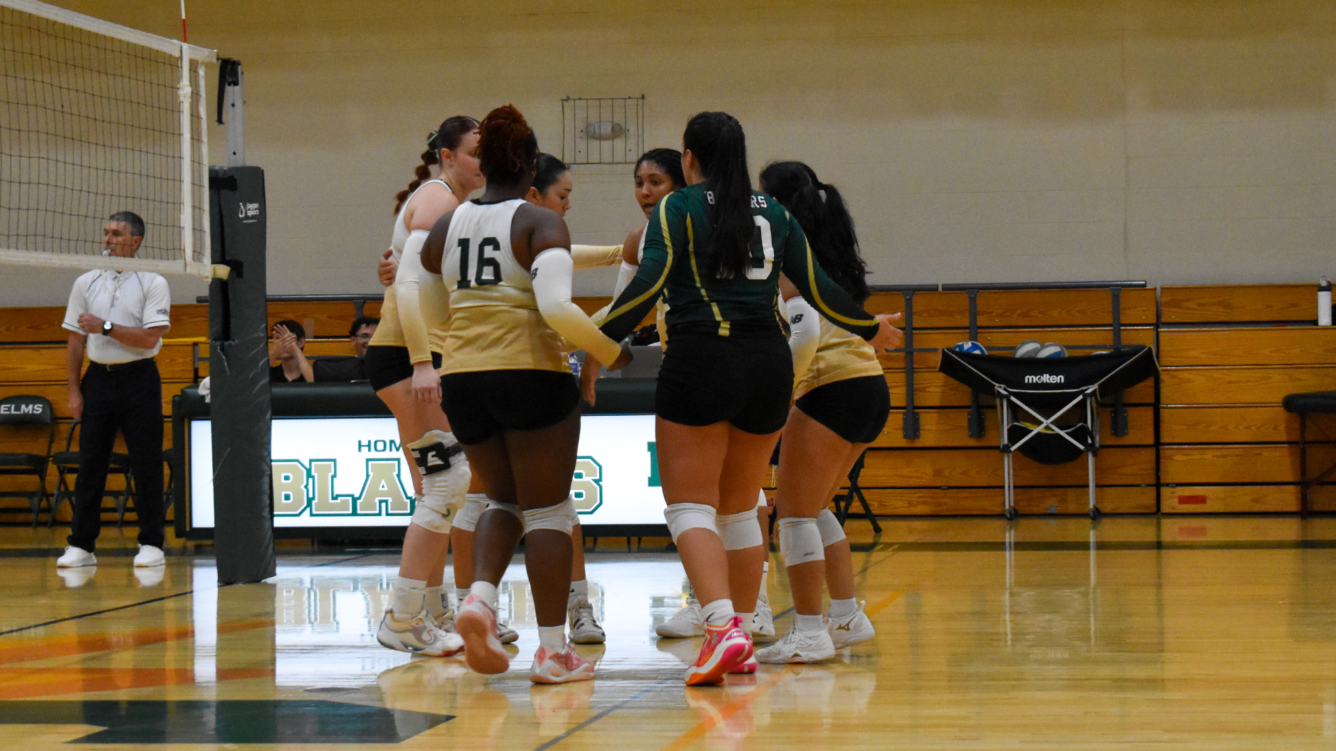 Women's Volleyball Suffers a Sweep to Regis at Home