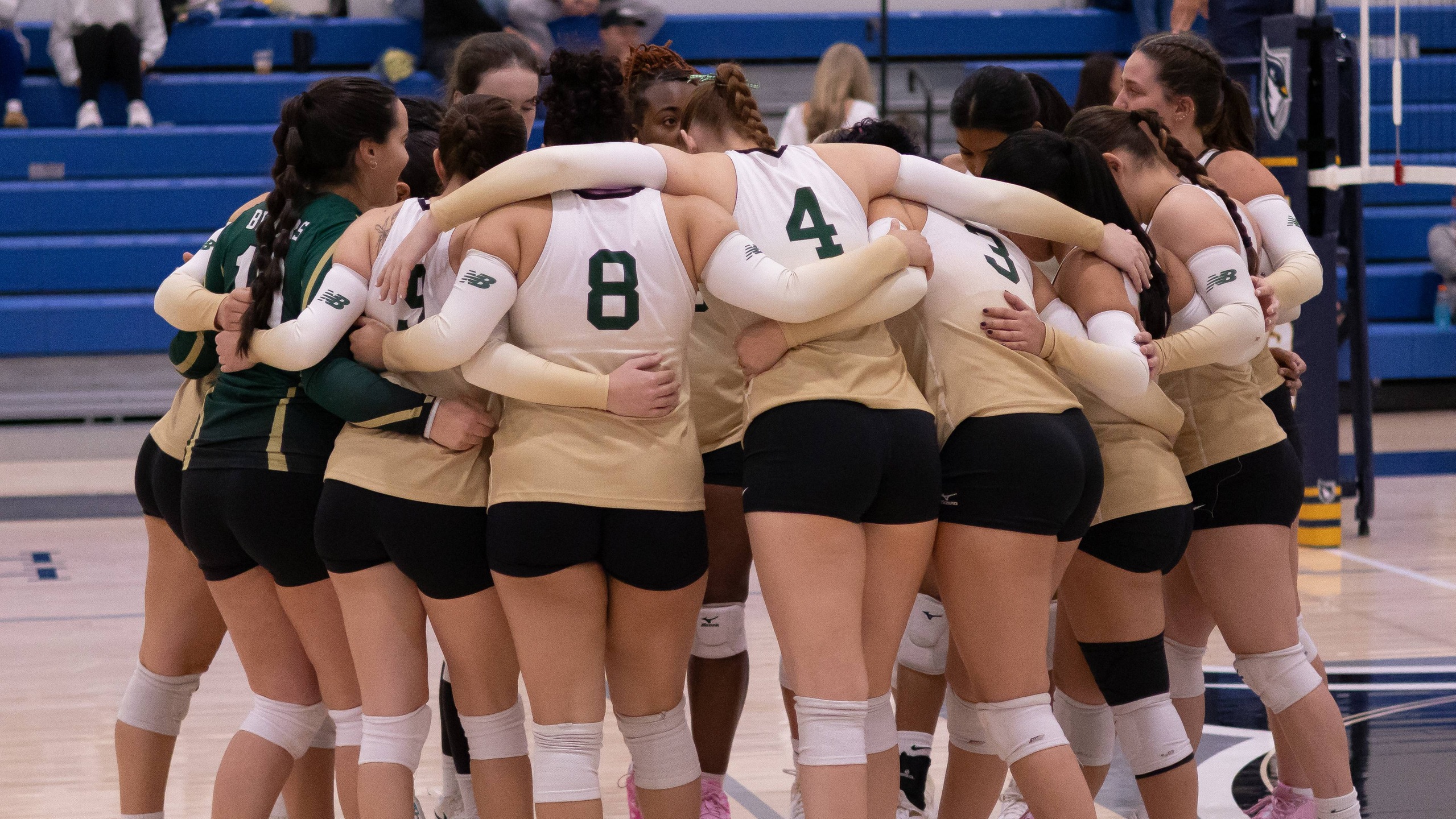 Women's Volleyball Takes a Set on the Road at Emmanuel