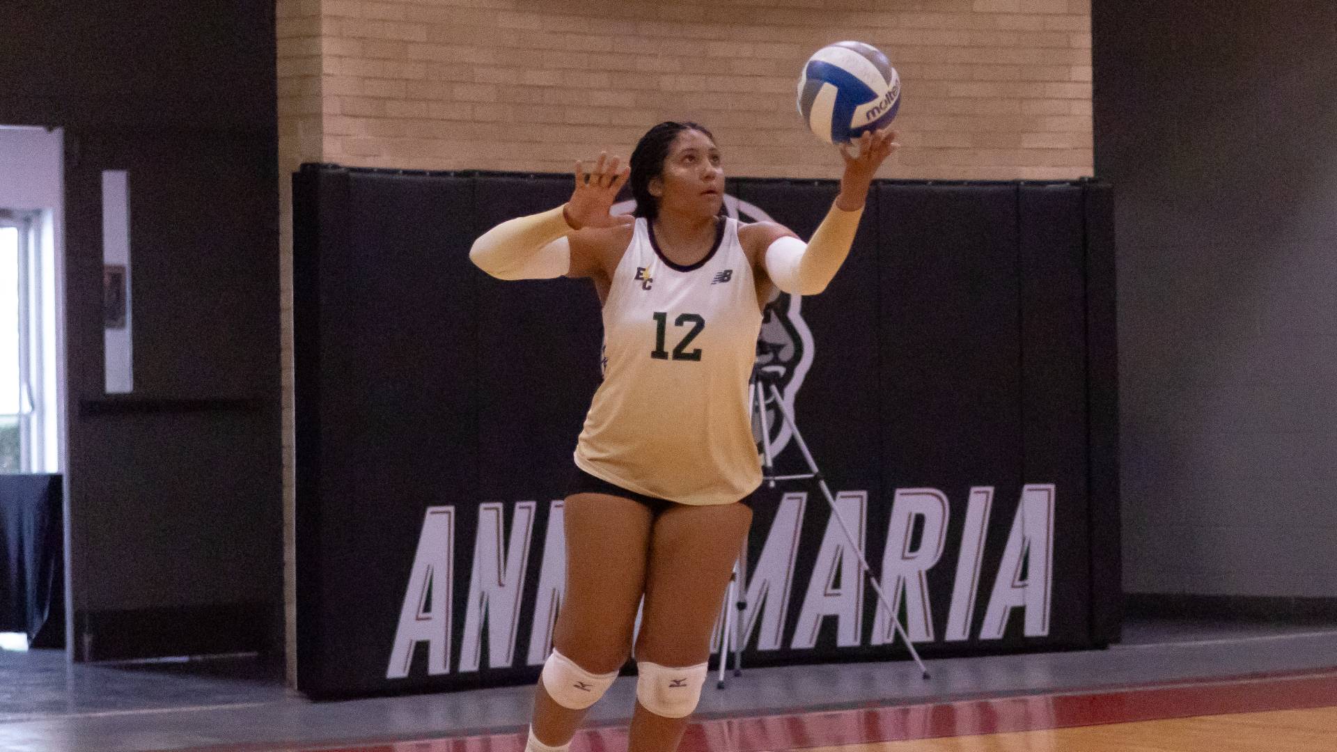 Women's Volleyball Sweeps Curry in Home Opener