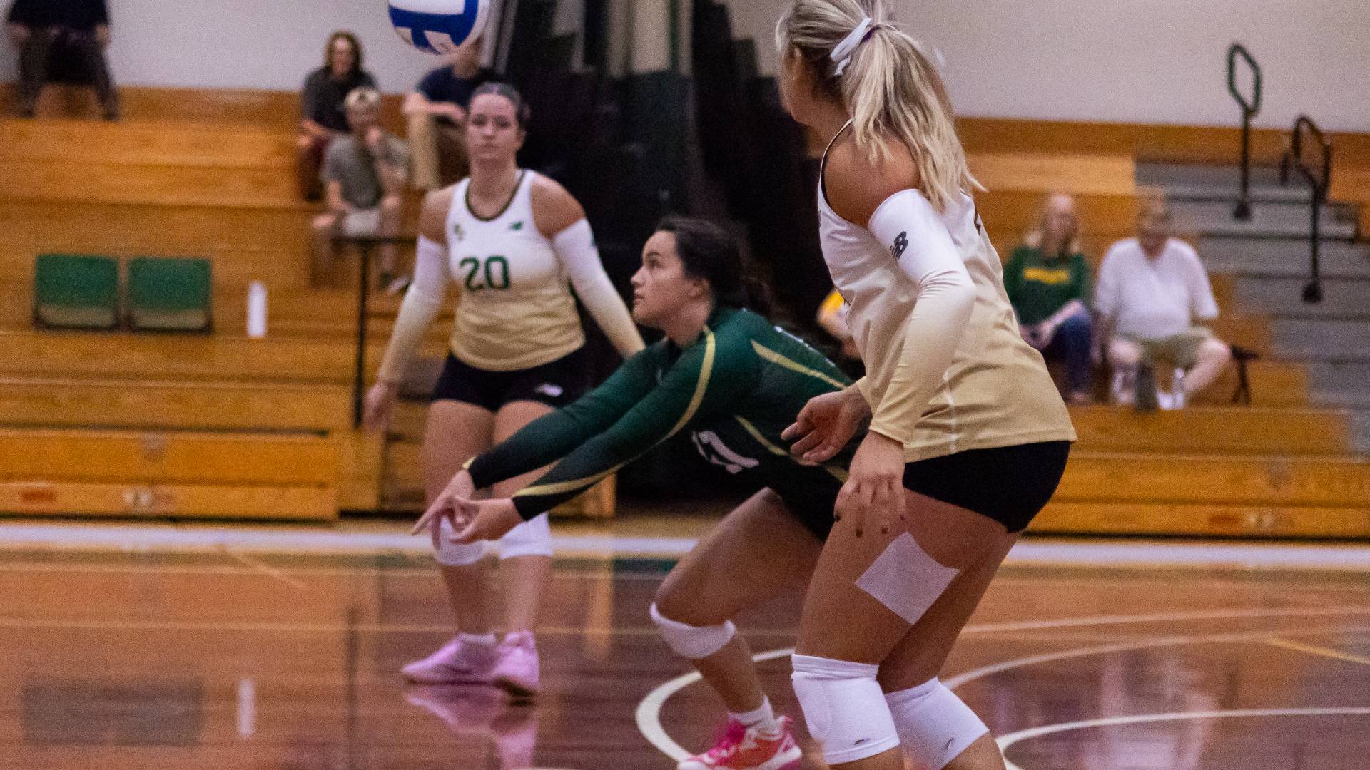 Women's Volleyball Defeats Bay Path on Local Showdown at Home 3-1