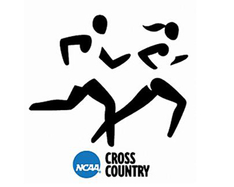 Men&rsquo;s Cross Country Tabbed to Finish Fourth in 2013 NECC Preseason Poll